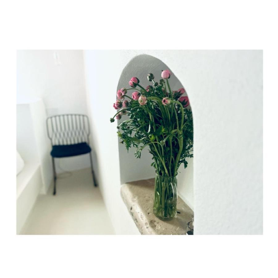 Hydria Guest House Art Gallery Acquaviva delle Fonti Zewnętrze zdjęcie
